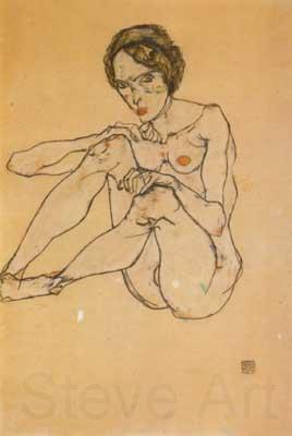 Egon Schiele Nude Woman (mk12) Spain oil painting art
